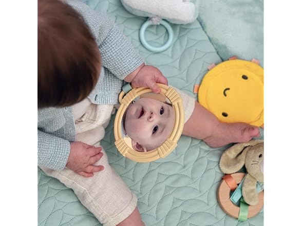 Ingenuity Calm Springs Plush Activity Gym