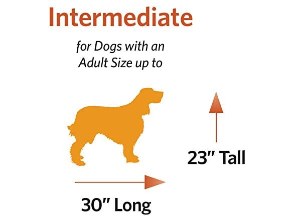 MidWest Homes for Pets Heavy-Duty 36-Inch Dog Crate