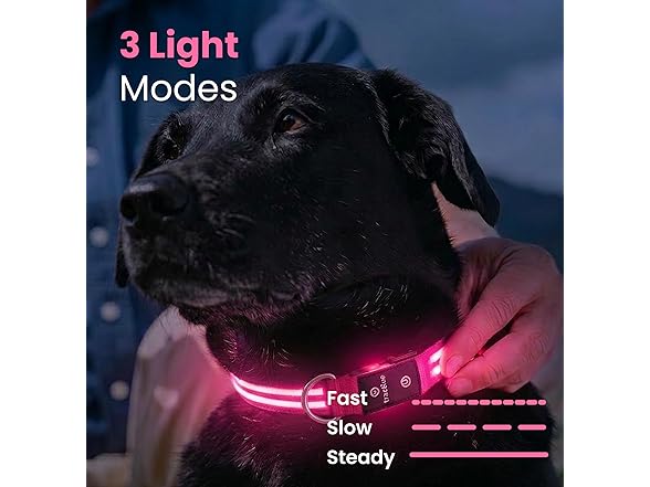 Tractive LED Light Up Dog Collar USB Rechargeable Pink Small