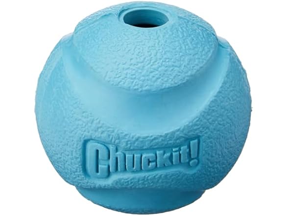 Chuckit! High-Bounce Rubber Fetch Ball, Large 3"