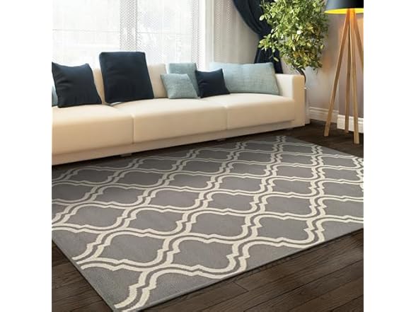 Superior Indoor Area Rug