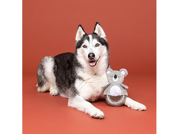 Fringe Studio Rubber Dog Toy, KOAL-ITY Vibe
