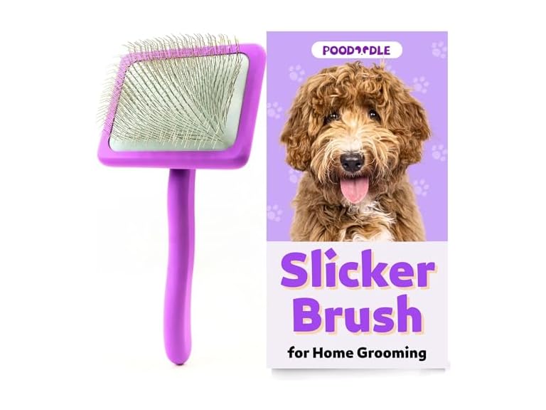 Poodoodle Dog Slicker Brush