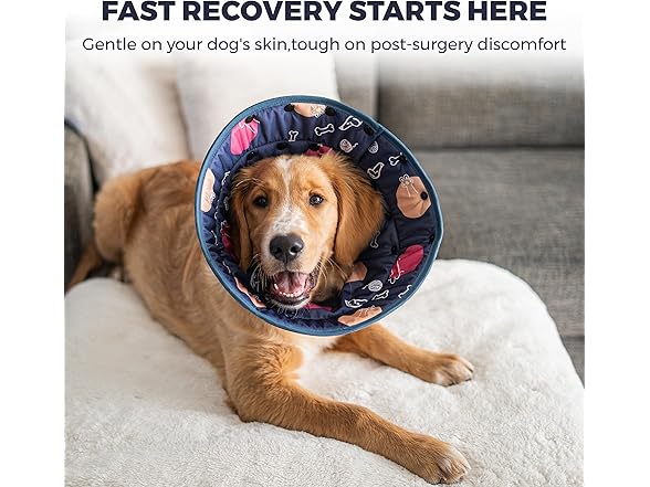 Ejona's furryfamily Dog Cone Collar