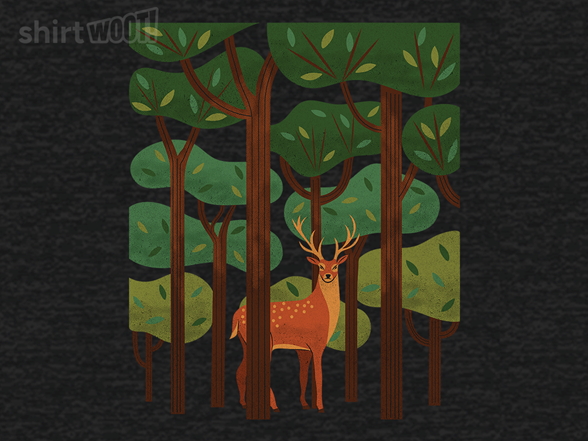 Deer in the Forest