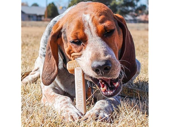 Bullibone Bacon Oral Care Dog Chew