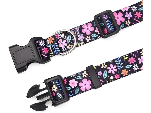 HQYDDMI Dog Collar and Leash Set M