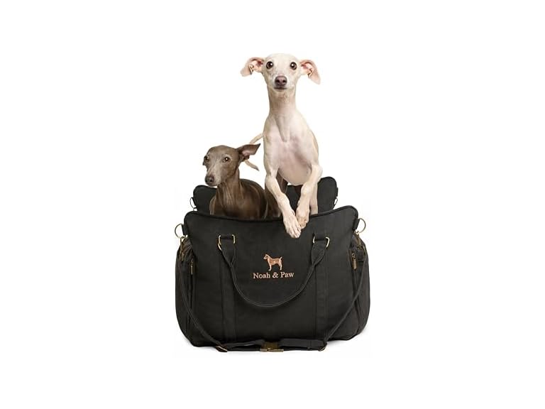 Noah & Paw Small Canvas Dog Car Seat Carrier
