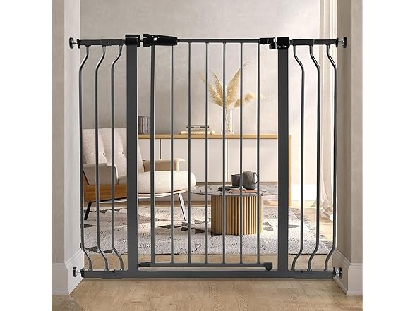BalanceFrom Walk-Thru Safety Gate