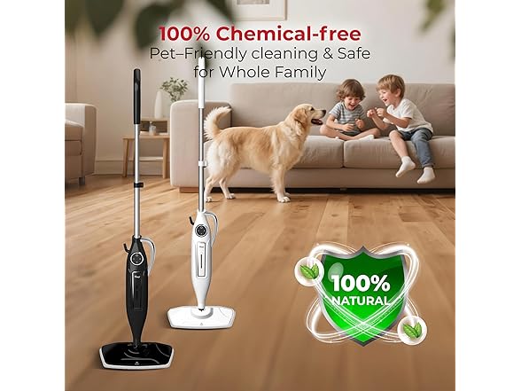 Rosewill 11-in-1 Steam Mop & Garment Steamer