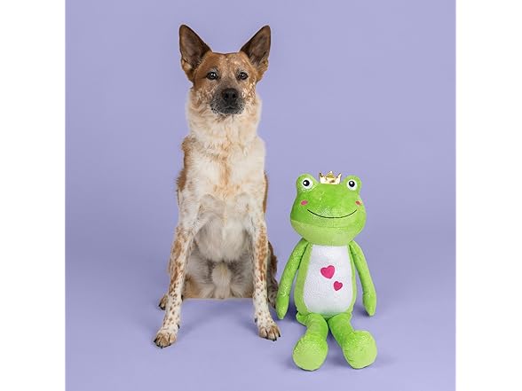 Fringe Studio Large Squeaky Plush Dog Toy, HOP INTO My Life