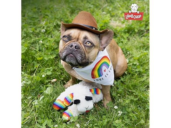 Multipet Mini Lamb Chop Plush Toy