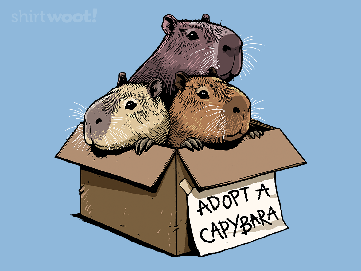 Adopt a Capybara - Gallery 4