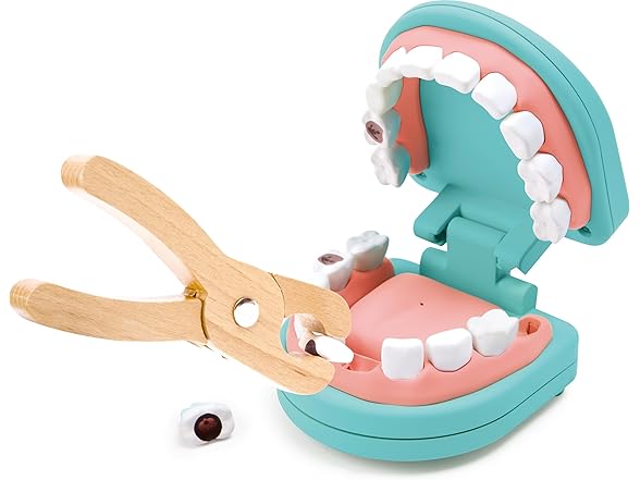 Hape Little Dentist Kit