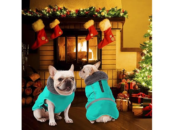 Dogcheer Warm Dog Coat, Waterproof Dog Jacket