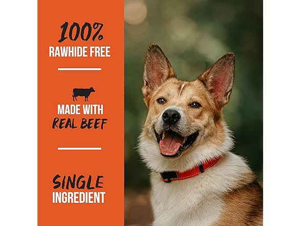 Grillerz Pitmasterz Ribs Dog Chews, 3-Ct