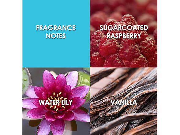 Britney Spears Women's Circus Fantasy EDP Spray, 3.3 Fl Oz