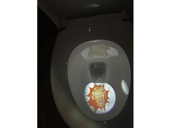 Trump Biden Toilet Light Projector