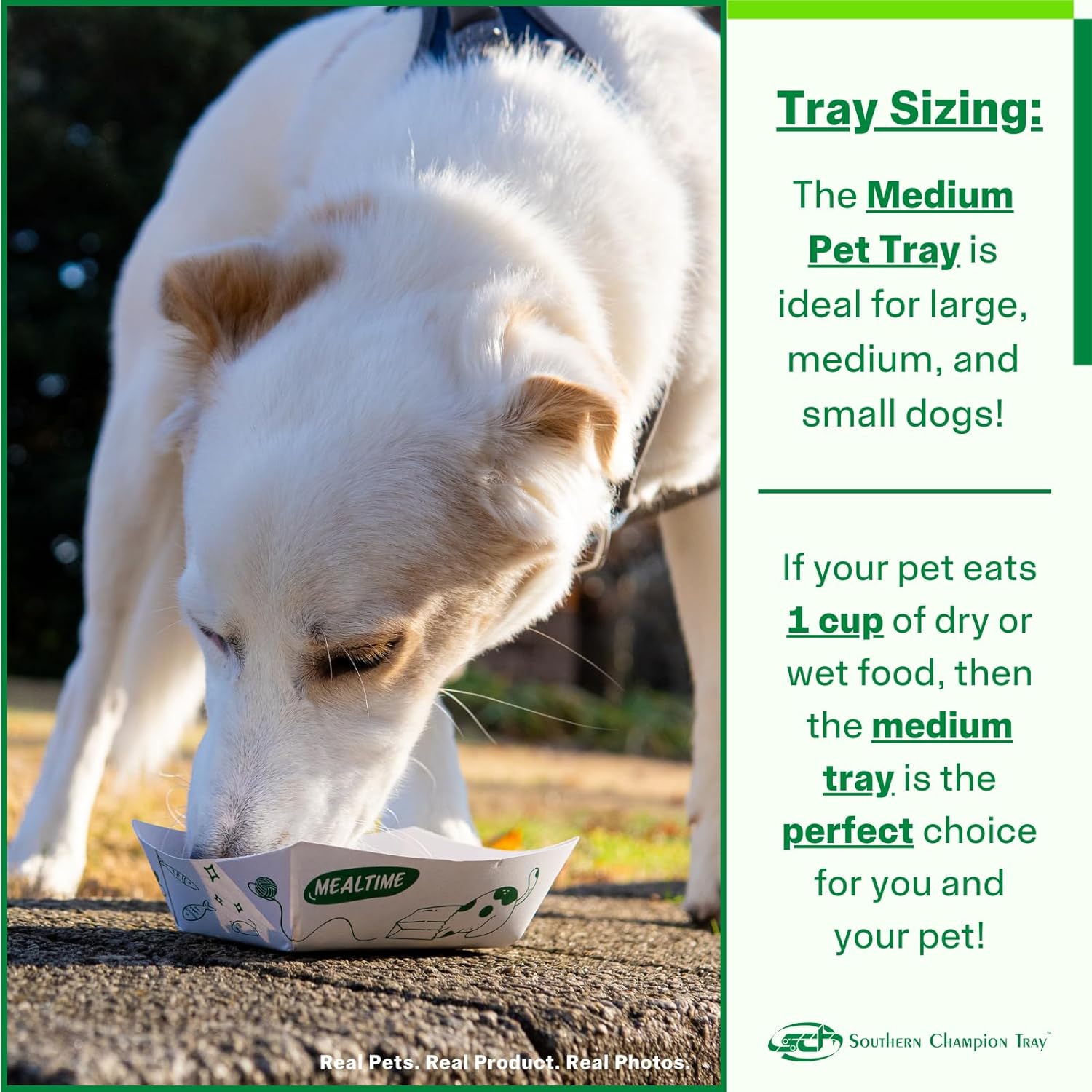 SCT, Disposable Pet Food Bowls - Your Choice - Gallery 15