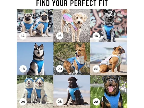 Canada Pooch Dog Cooling Vest