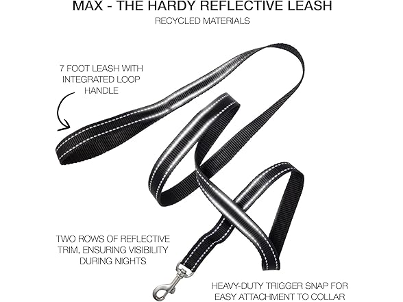 Pet Passion Reflective Durable Dog Leash