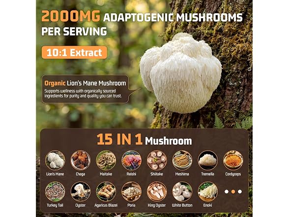 15 In 1 Mushroom Coffee Powder