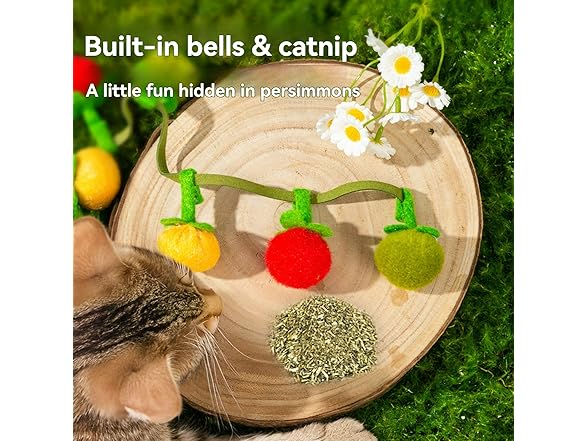 Layheld Cat Teaser Fruit-Shaped Squeaky String w Catnip