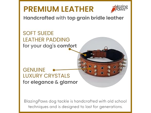 BlazingPaws® Sabrington 2 In Wide Luxury Spi