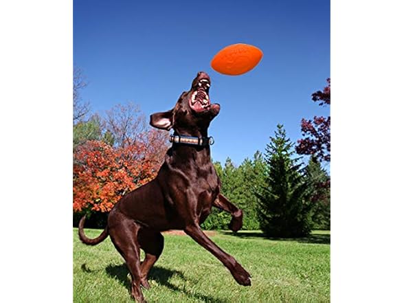 Jolly Pets Football Dog Toy, 8 Inches, Orange