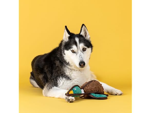 Fringe Studio Heading South Durable Plush Dog Toy, Duck