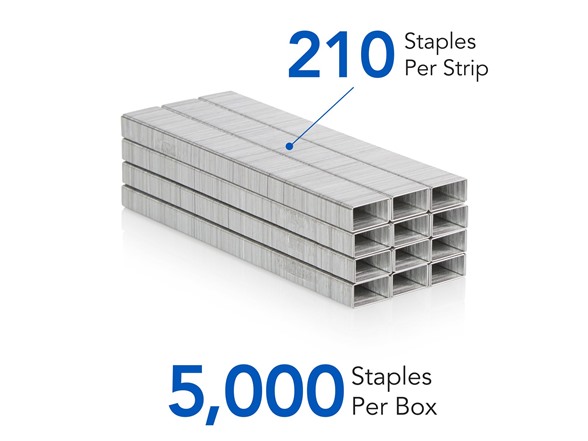 (3-Pack) STANDARD STAPLES