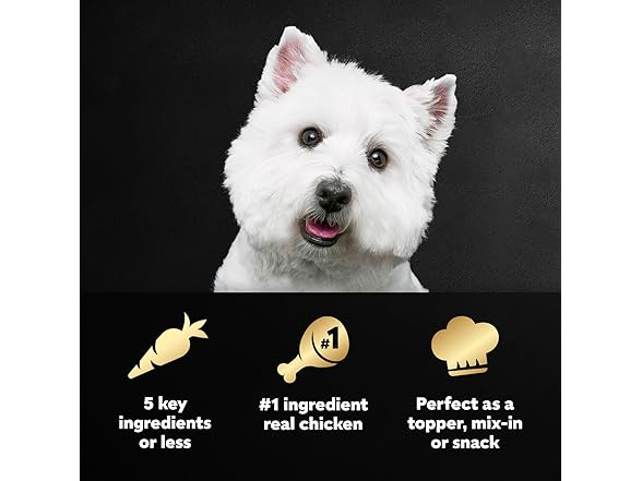 2PK Cesar Simply Crafted Wet Dog Food Topper