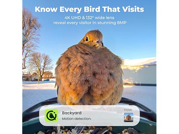Kiwibit Solar Smart Bird Feeder 4K AI
