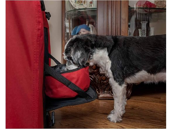 Pet Life Deluxe Vista-View 360 Deg Dual-Entrance Dog Crate