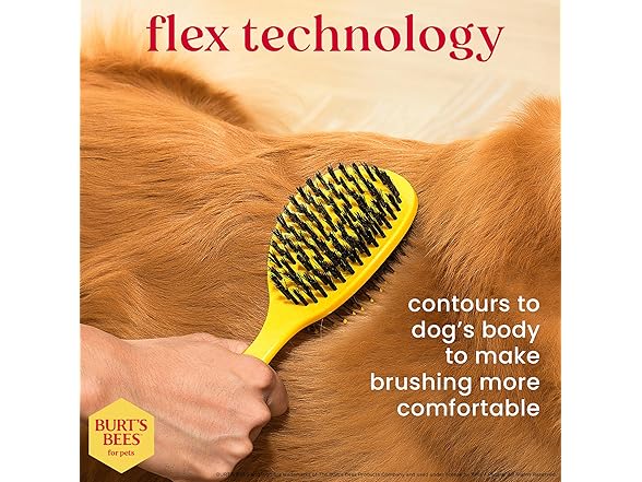 Burt's Bees for Pets Double Sided Brush for Large Dogs