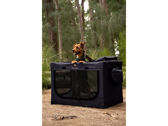 NOAH & PAW Collapsible Dog Crate