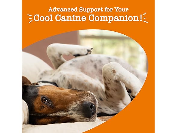 Zesty Paws Calming Chews Dogs 90ct