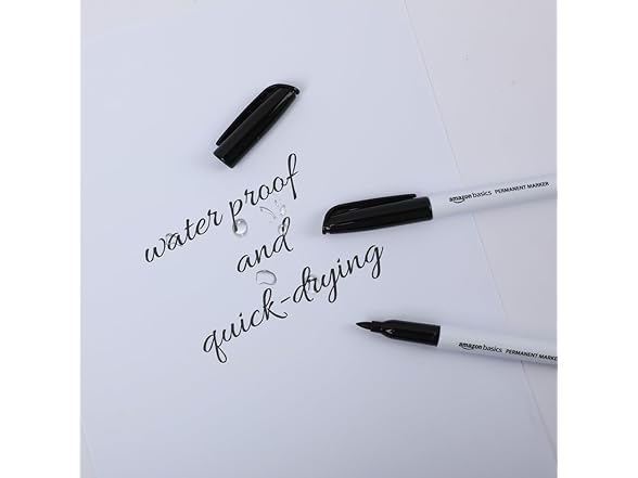 Amazon Basics Fine Point Tip Permanent Markers