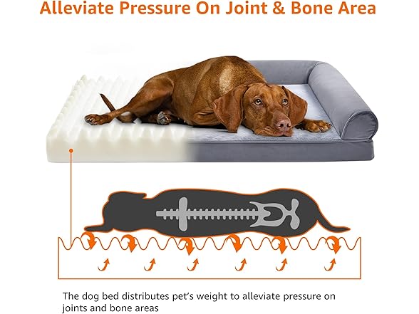 Amazon Basics Foam Living Room Pet Bed