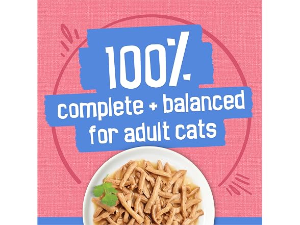 24PK Purina Friskies Shreds With Salmon in Sa