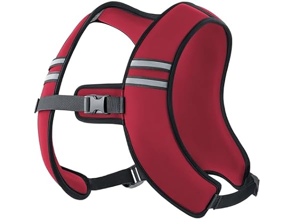 Zelus Red Weighted Vest 10lb
