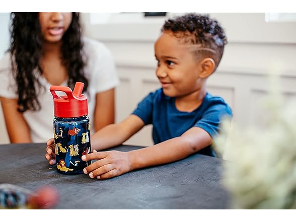 Disney Frozen Kids Water Bottle