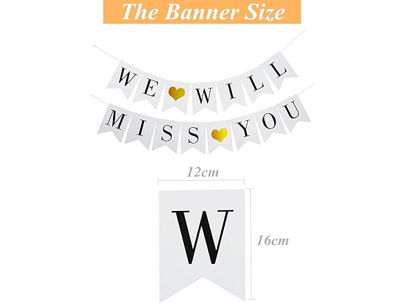 Mannli Elicola We Will Miss You Banner