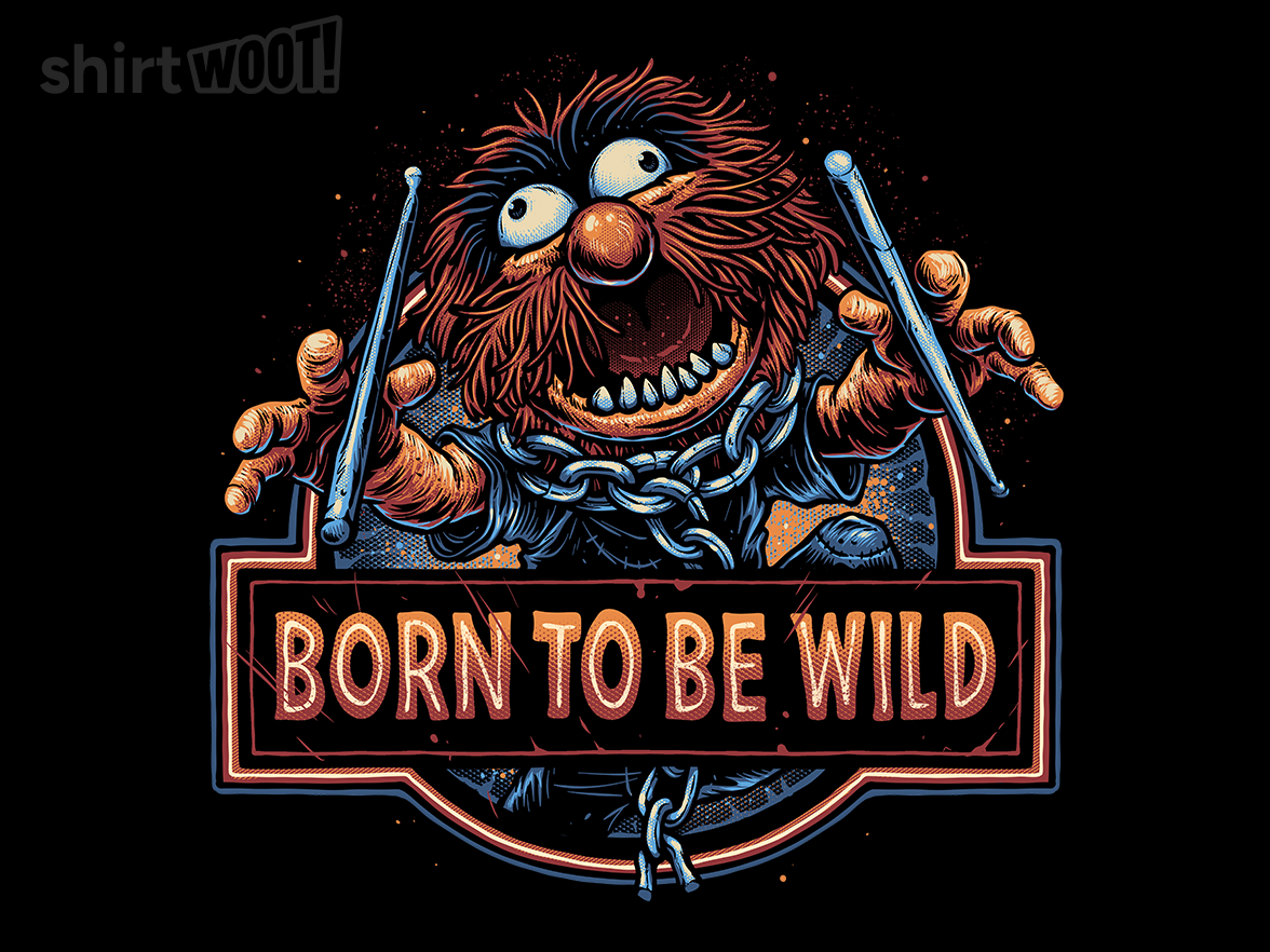 Born to Drum Wild - Gallery 9
